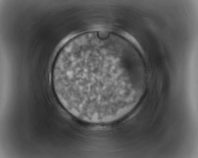 X0000085281419200703301906