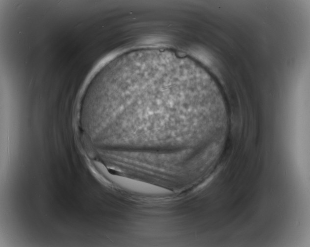 X0000085281421200703301906