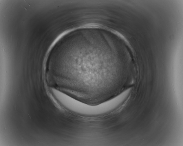 X0000085281422200703301906
