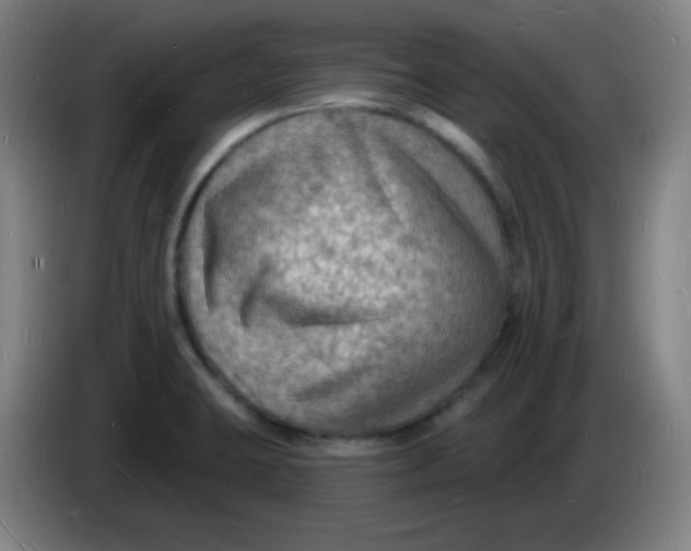 X0000085281423200703301906