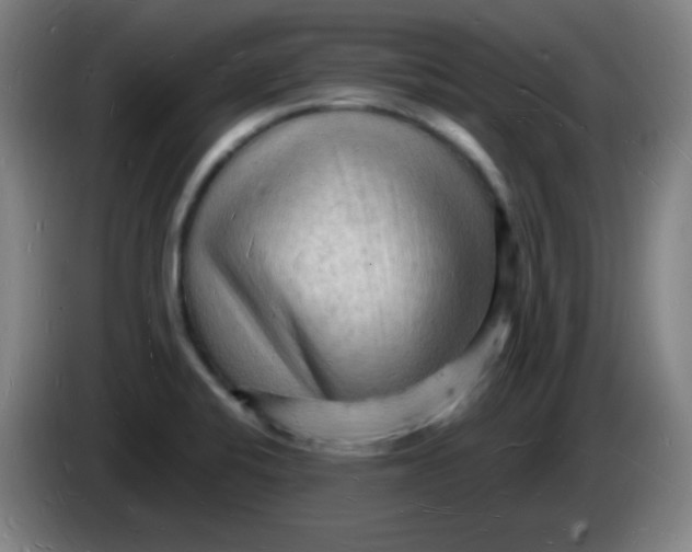X0000085281424200703301906