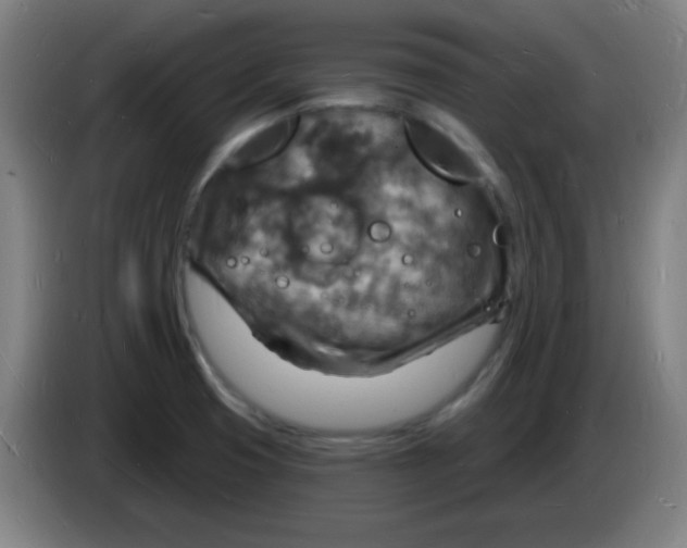 X0000085281425200703301906