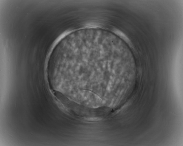 X0000085281427200703301906