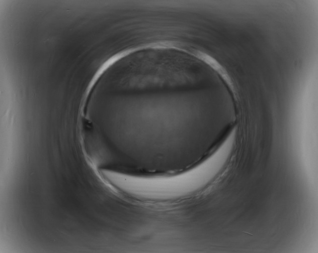 X0000085281428200703301906