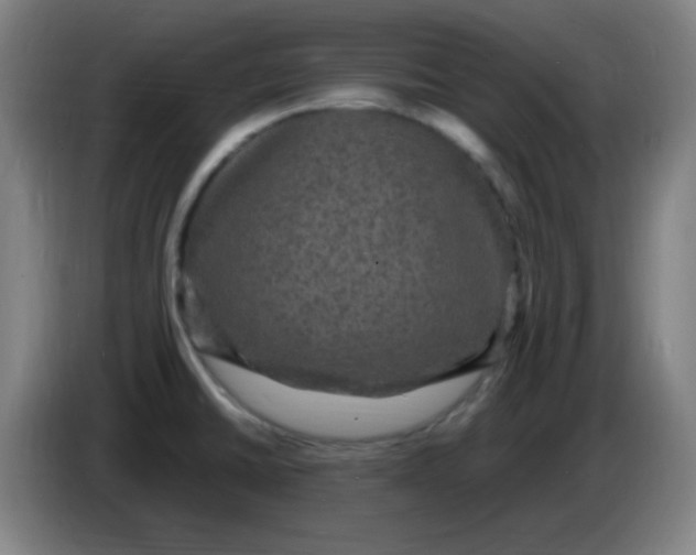 X0000085281430200703301906