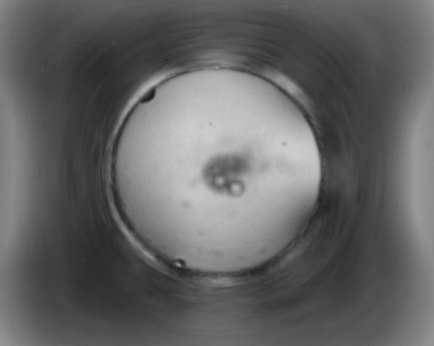 X0000085281431200703301906