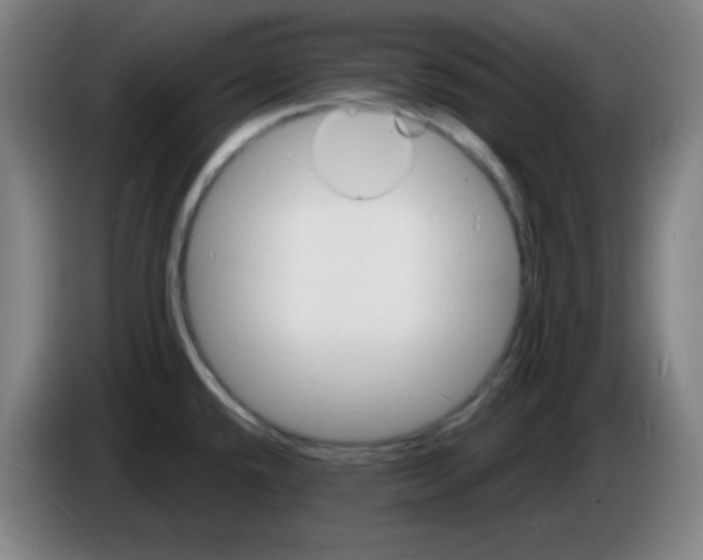 X0000085281432200703301906