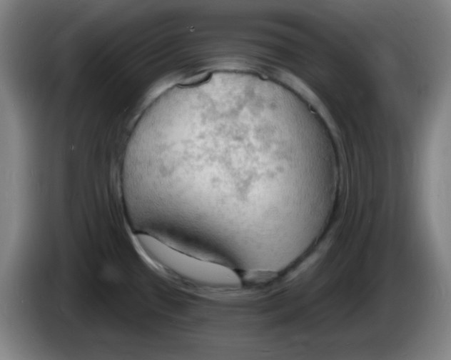 X0000085281433200703301906