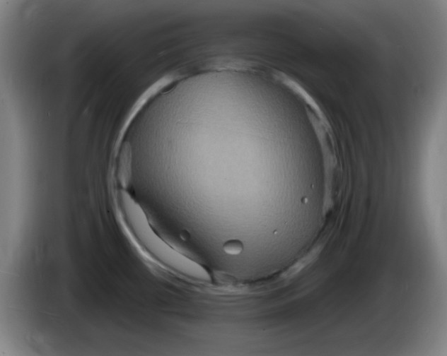 X0000085281434200703301906