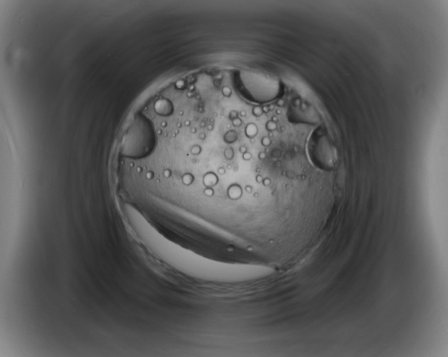 X0000085281435200703301906