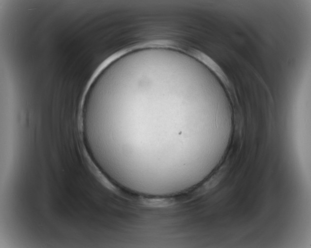 X0000085281436200703301906