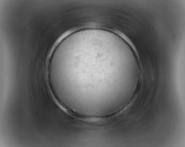 X0000085281437200703301906