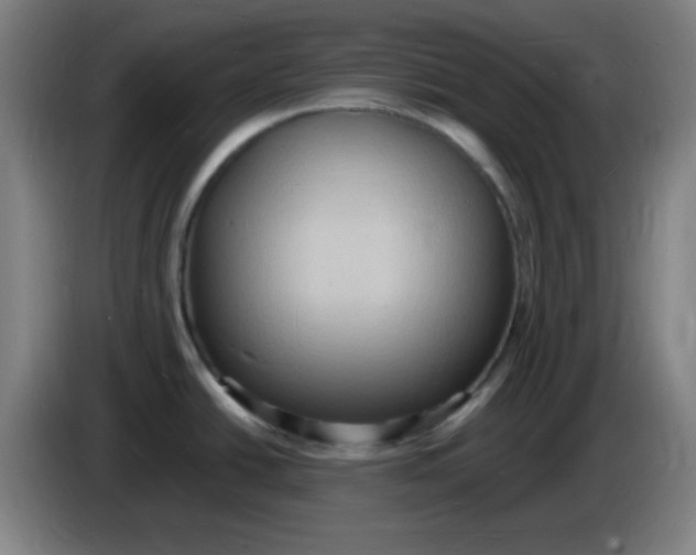 X0000085281438200703301906