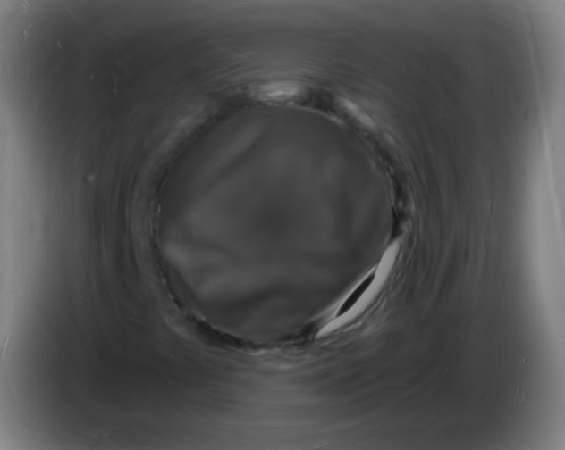 X0000085281441200703301906