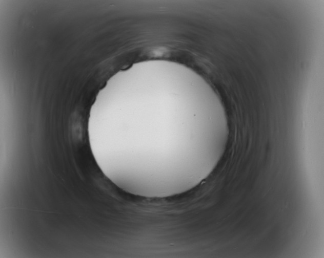 X0000085281442200703301905