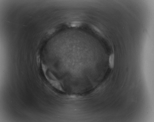 X0000085281443200703301905