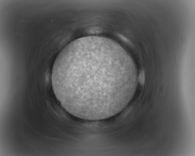 X0000085281444200703301905