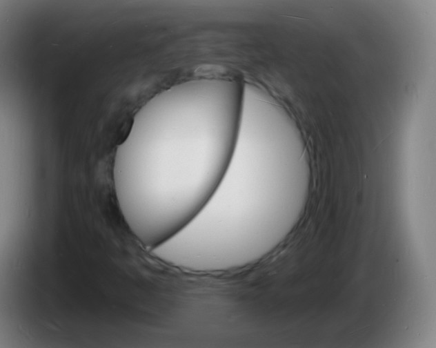X0000085281445200703301905