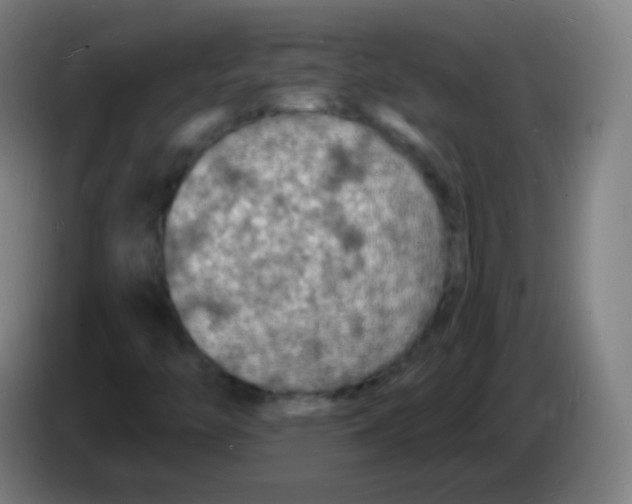 X0000085281446200703301905