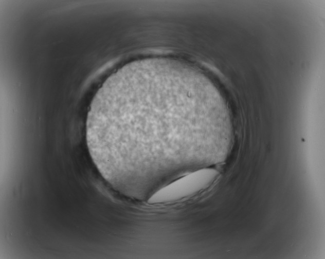 X0000085281448200703301905