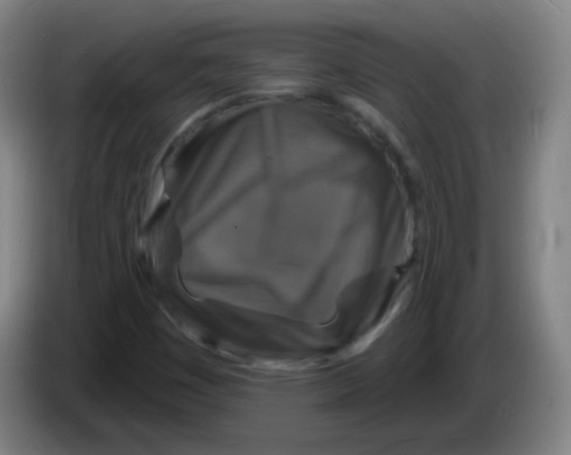 X0000085281449200703301905