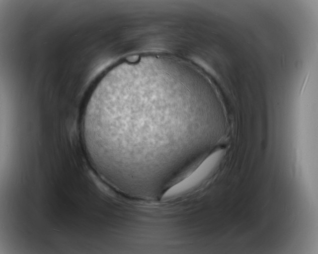 X0000085281452200703301905