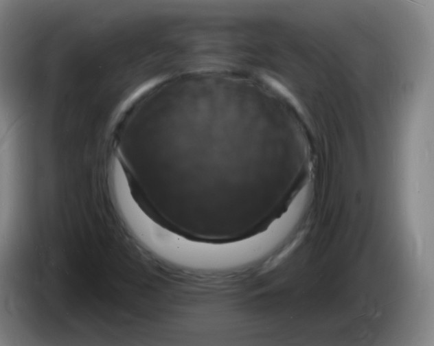 X0000085281453200703301905