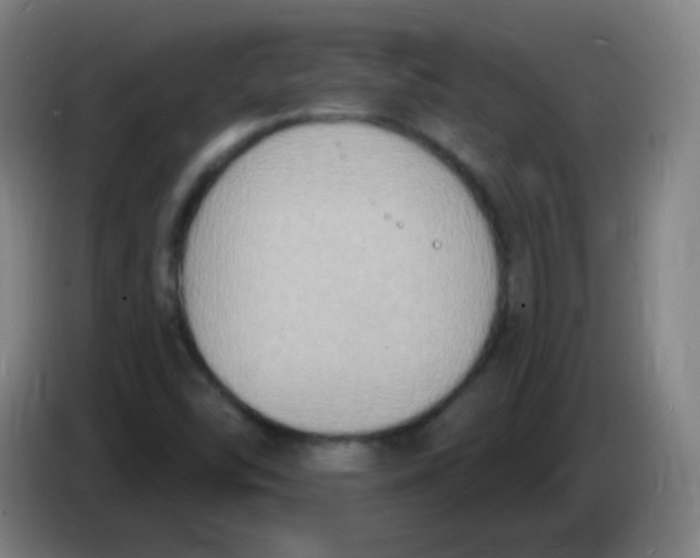 X0000085281454200703301905