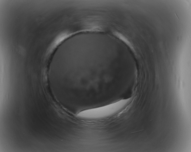 X0000085281455200703301905