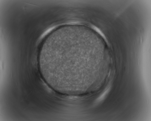 X0000085281456200703301905