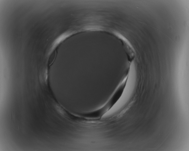 X0000085281461200703301905