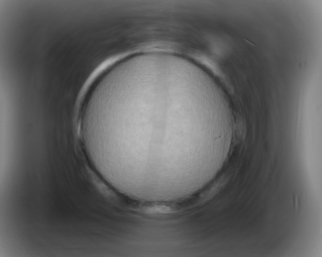 X0000085281462200703301905