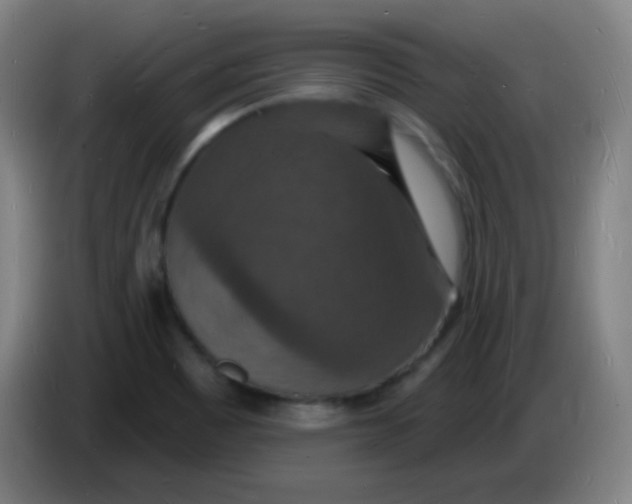 X0000085281465200703301905