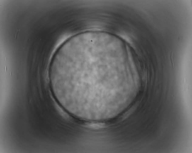 X0000085281466200703301905