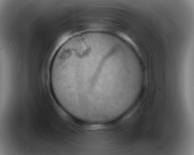X0000085281467200703301905