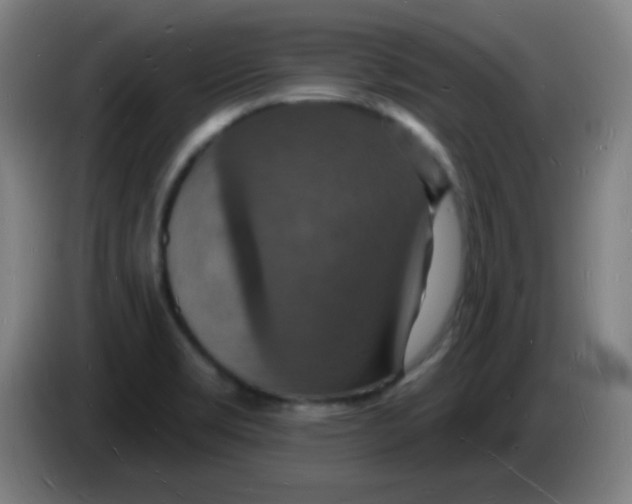 X0000085281469200703301905