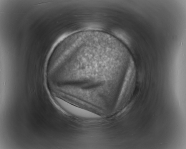 X0000085281471200703301905