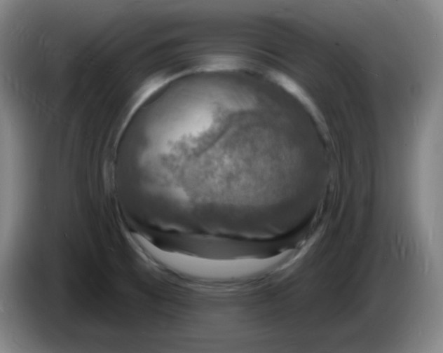 X0000085281473200703301905