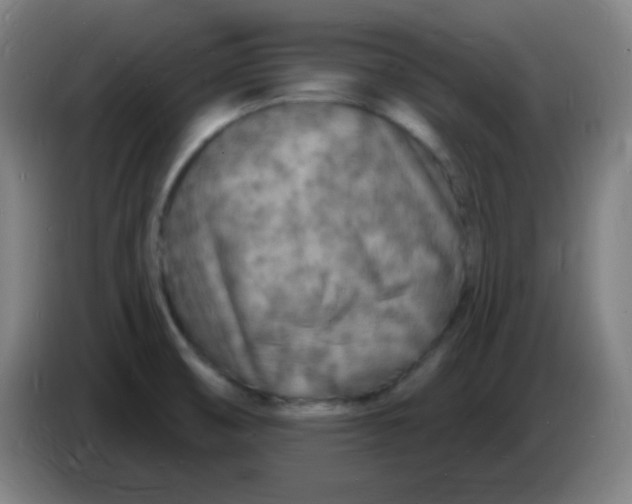 X0000085281474200703301905