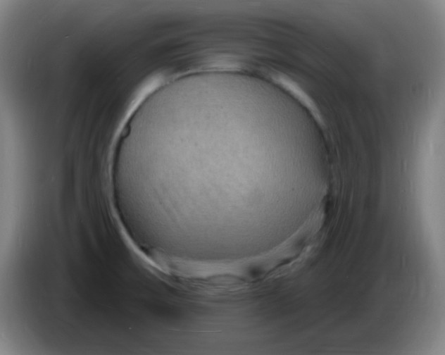 X0000085281475200703301905