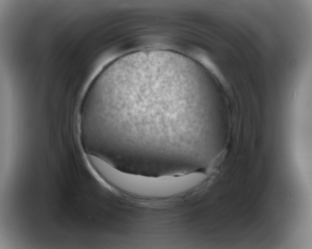 X0000085281476200703301905