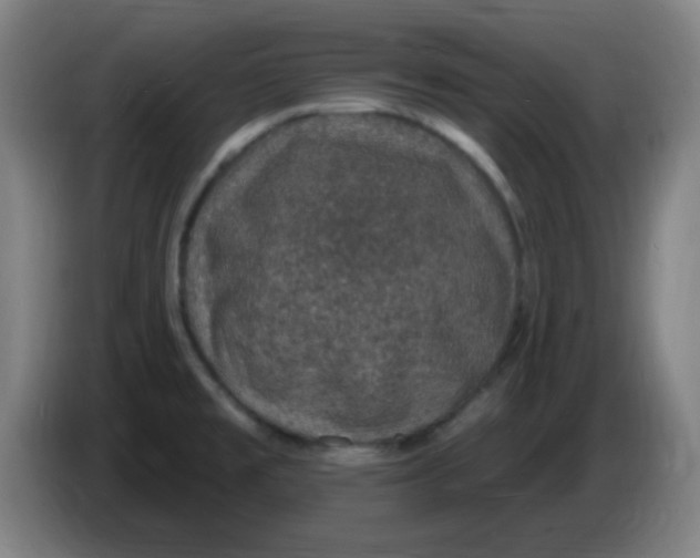 X0000085281477200703301905