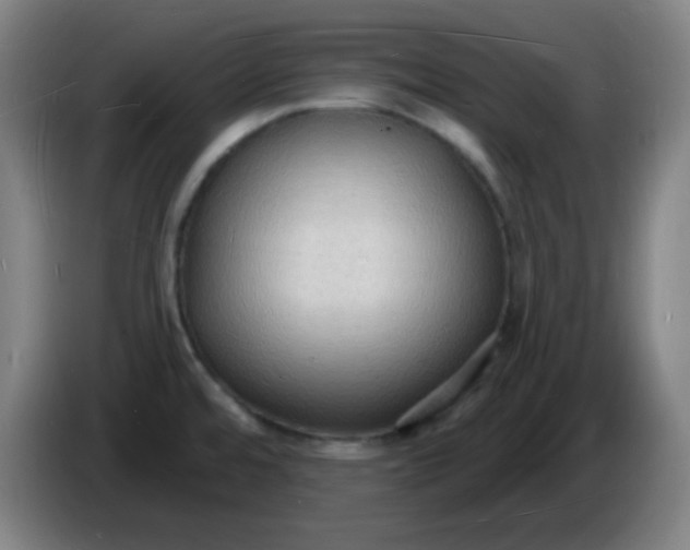 X0000085281480200703301905