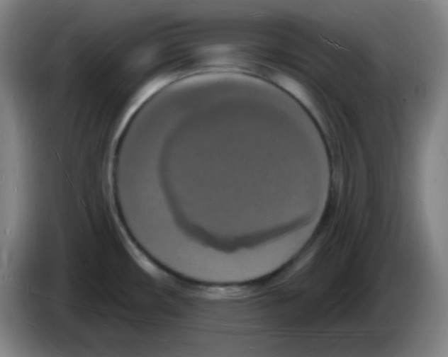 X0000085281482200703301905
