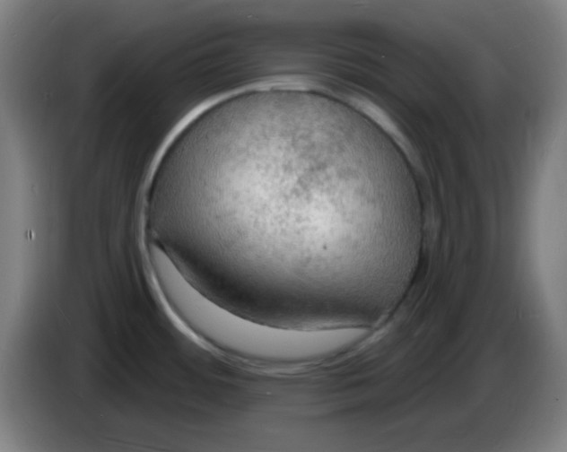 X0000085281484200703301905