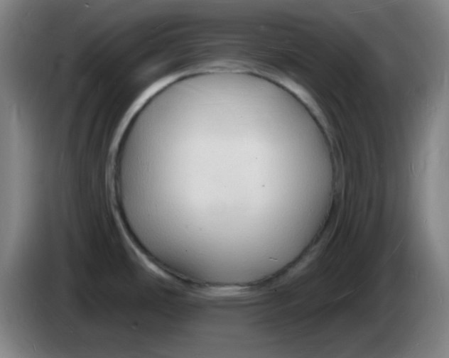 X0000085281486200703301905