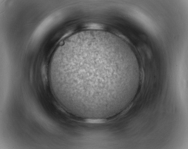X0000085281487200703301905