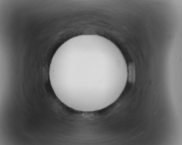 X0000085281491200703301904