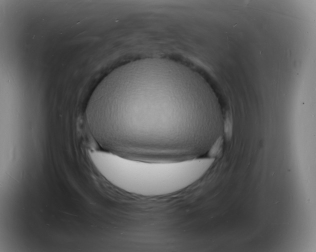 X0000085281492200703301904