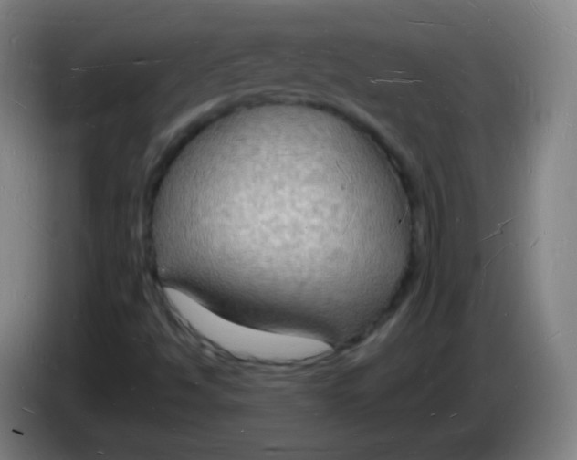 X0000085281494200703301904